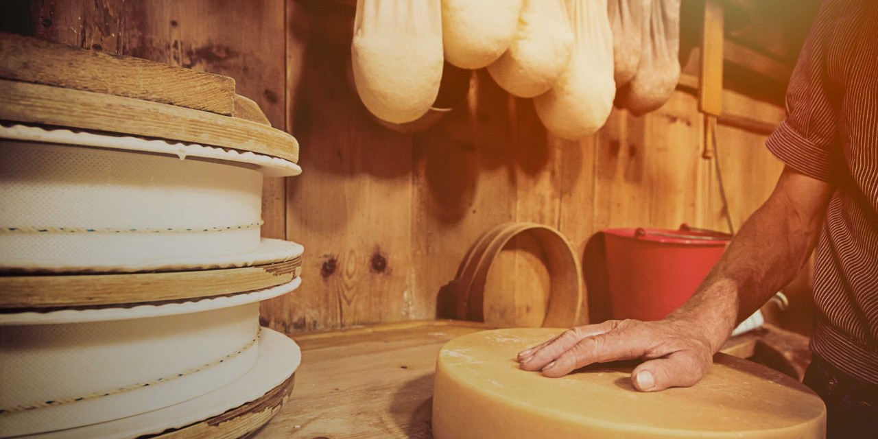 Hände berühren einen Käseleib, im Hintergrund sieht man traditionelle Utensilien für das Käsen.